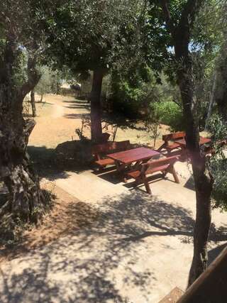 Отели типа «постель и завтрак» B&B Skadar Lake Murici Бар Двухместный номер Делюкс с 1 кроватью-5