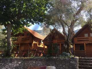 Отели типа «постель и завтрак» B&B Skadar Lake Murici Бар Четырехместный номер с видом на озеро-4