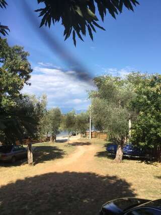 Отели типа «постель и завтрак» B&B Skadar Lake Murici Бар Двухместный номер Делюкс с 1 кроватью или 2 отдельными кроватями и видом на озеро-7