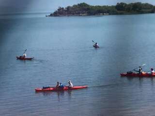Отели типа «постель и завтрак» B&B Skadar Lake Murici Бар Двухместный номер Делюкс с 1 кроватью или 2 отдельными кроватями и видом на озеро-3
